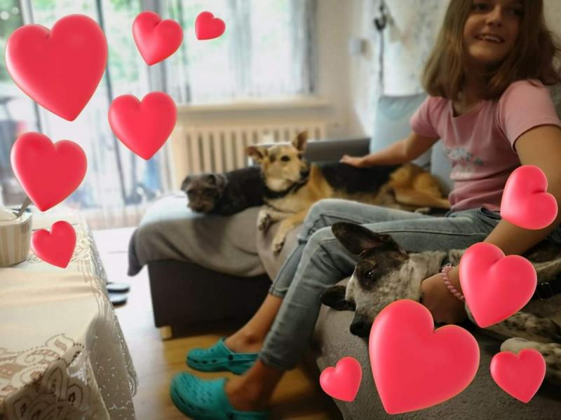 Sarunia i jej CIPSY