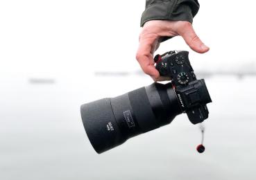 Konkurs fotograficzny dla dorosłych. Pokaż naturę w mieście i wygraj nagrody!