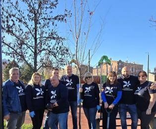 Skwer przy ul. Łagiewnickiej zyskał nowe nasadzenia!