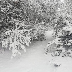 Świętochłowice w zimowej odsłonie