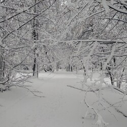 Świętochłowice w zimowej odsłonie