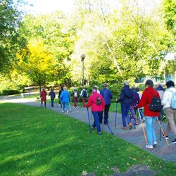 Międzypokoleniowy Nordic Walking