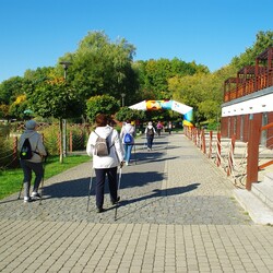 Międzypokoleniowy Nordic Walking