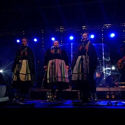 Koncert zespołu Tulia