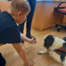Warsztaty z dogoterapii