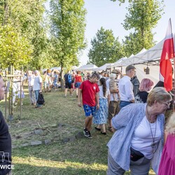 Organizacje pozarządowe