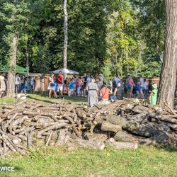 Organizacje pozarządowe