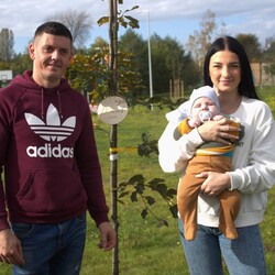 "Drzewko za dziecko" w Świętochłowicach