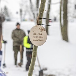 Drzewko dla Organizacji