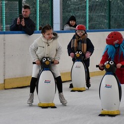 Zabawa karnawałowa na lodzie