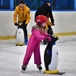 Zabawa karnawałowa na lodzie