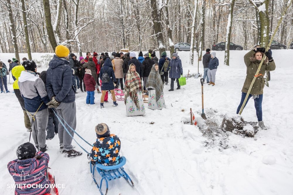 Stowarzyszenia i organizacje ze Świętochłowic sadzą drzewa w Parku Heiloo/fot. FB Daniel Beger