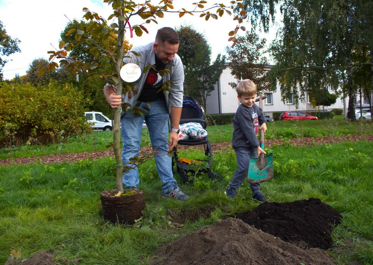 "Drzewko za dziecko" w Świętochłowicach. 14 rodzin zasadziło drzewa dla swojego potomstwa / fot. UM Świętochłowice FB