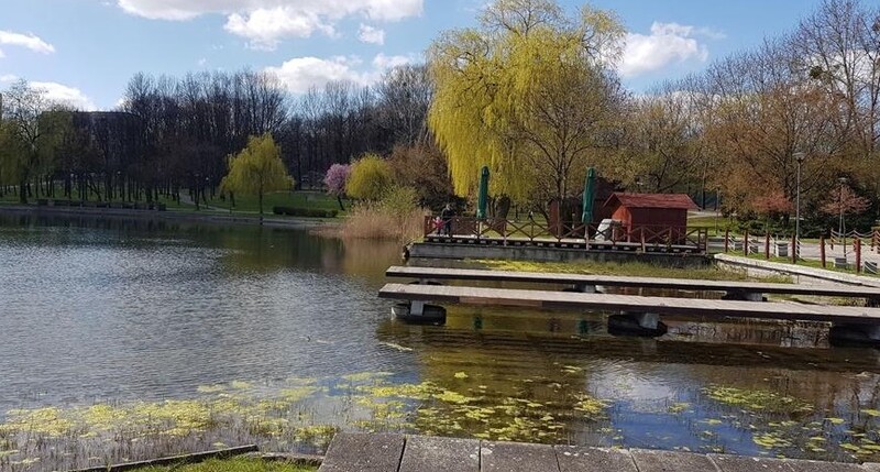 Działka przy ul. Parkowej wystawiona na sprzedaż. Okolica Skałki może niebawem się zmienić