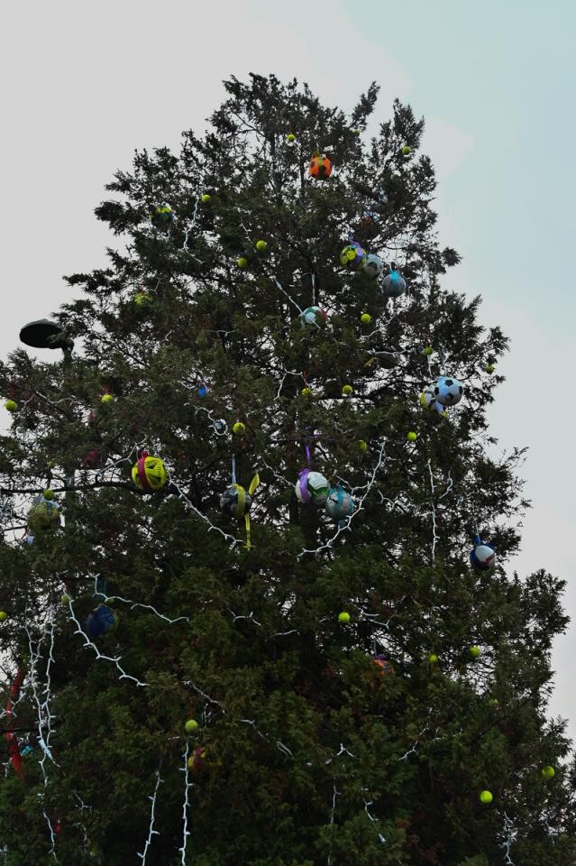 w Świętochłowicach odbył się Jarmark Bożonarodzeniowy! / fot. Magdalena Ruda
