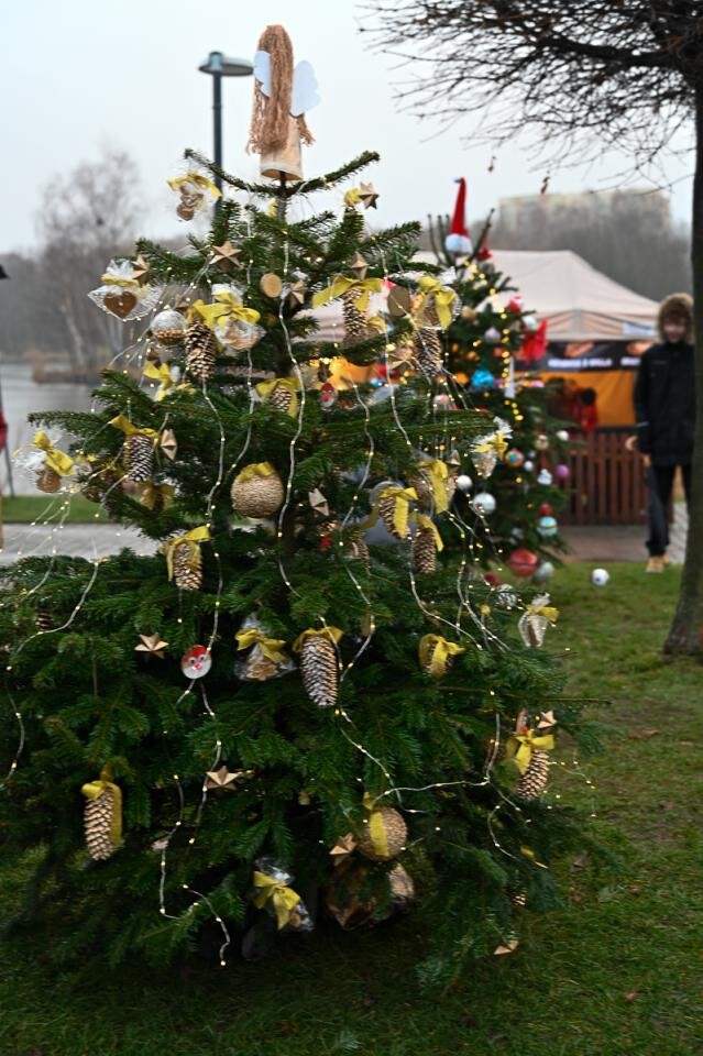 w Świętochłowicach odbył się Jarmark Bożonarodzeniowy! / fot. Magdalena Ruda