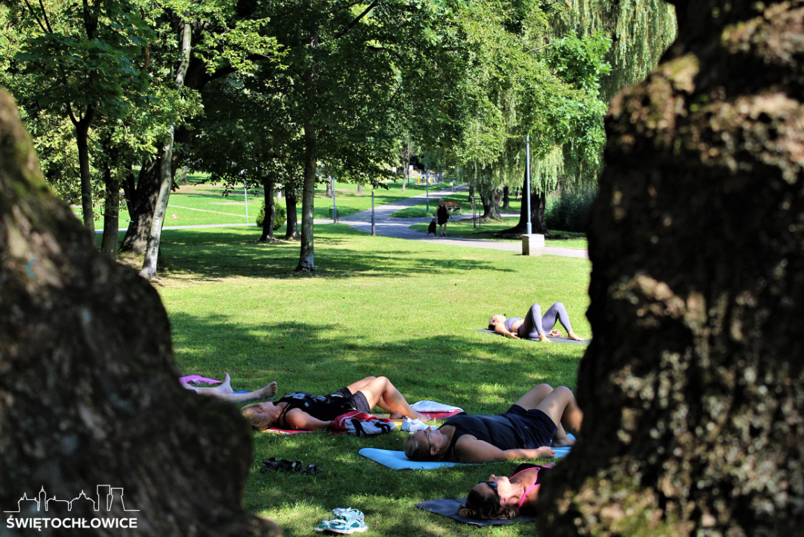 Seniorzy z Chorzowa i Świętochłowic wspólnie ćwiczyli jogę/ fot. UM Świętochłowice