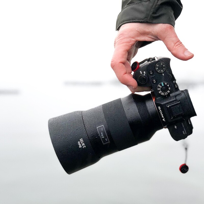 Konkurs fotograficzny dla dorosłych. Pokaż naturę w mieście i wygraj nagrody!