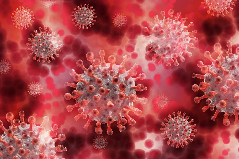 Koronawirus w szkole i przedszkolu! Przedszkole zamknięte, co z egzaminami w szkole?