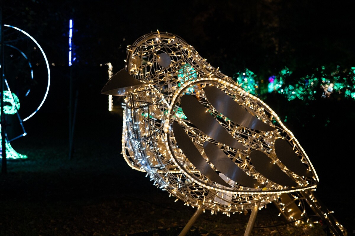 Lumina Park na Śląsku – Akademia Pana Kleksa rozświetliła Świętochłowice. / fot. Marek Faber