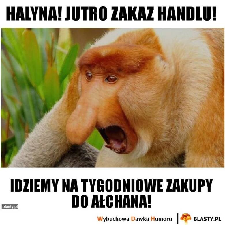 Na Poprawe Humoru Cos Smiesznego Milego Ogladania Zdjecie 5
