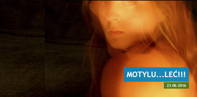 Motylu leć - wystawa