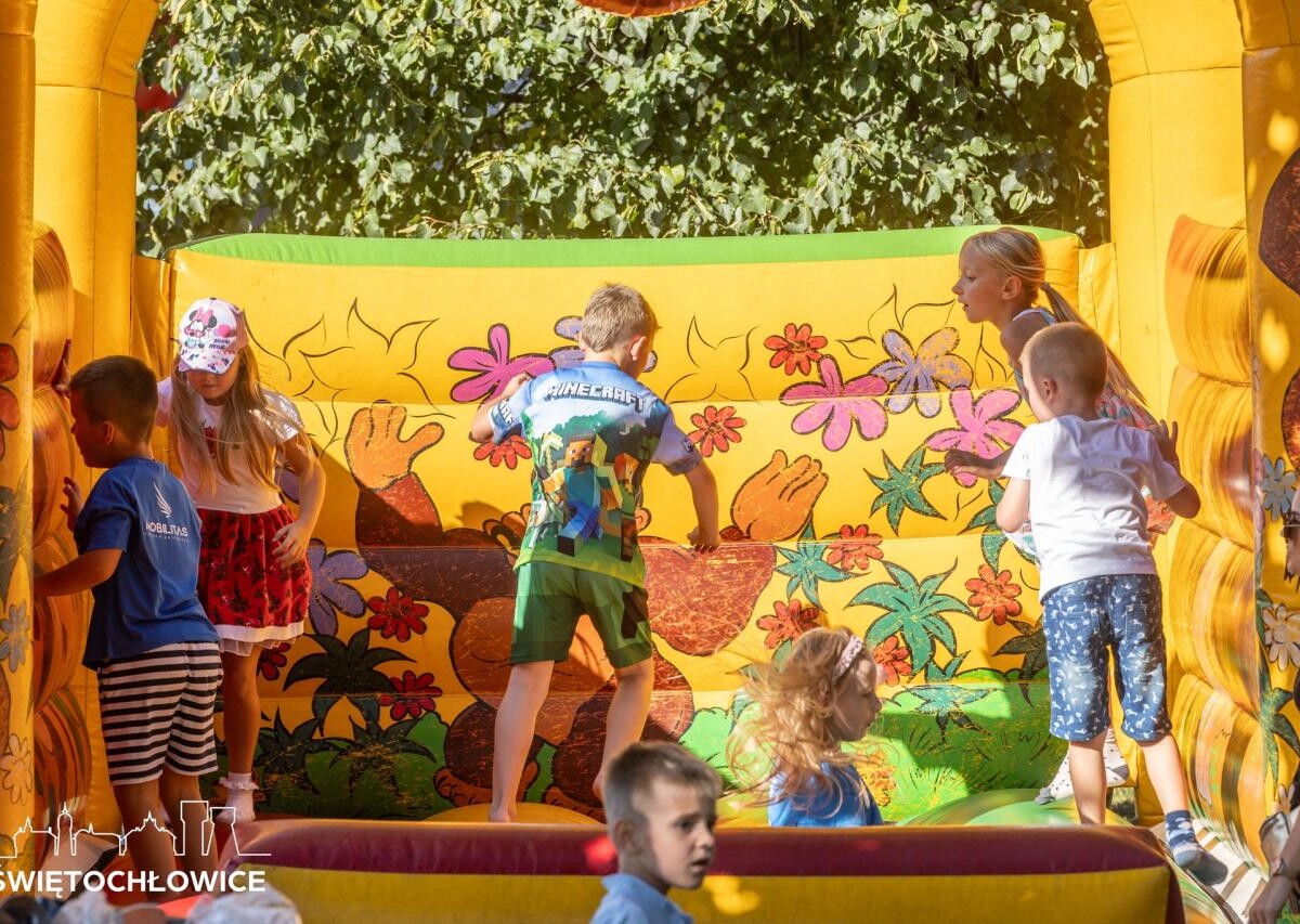 Piknik Organizacji Pozarządowych