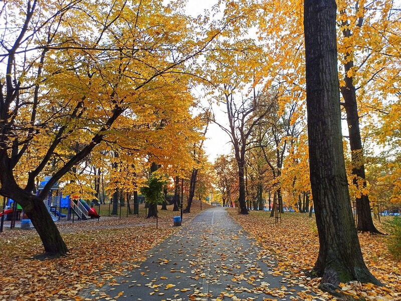 Park Heiloo w Piaśnikach poleca się na spacer [Zdjęcia]