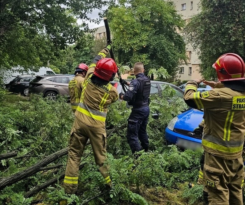 Policjanci pomagają w usuwaniu skutków załamania pogody