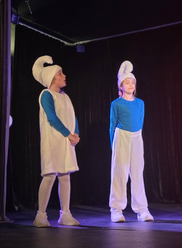 "Smerfy" na scenie! Teatralny debiut Młodszaków zachwycił widzów [ZDJĘCIA] / fot. MDK Świętochłowice FB