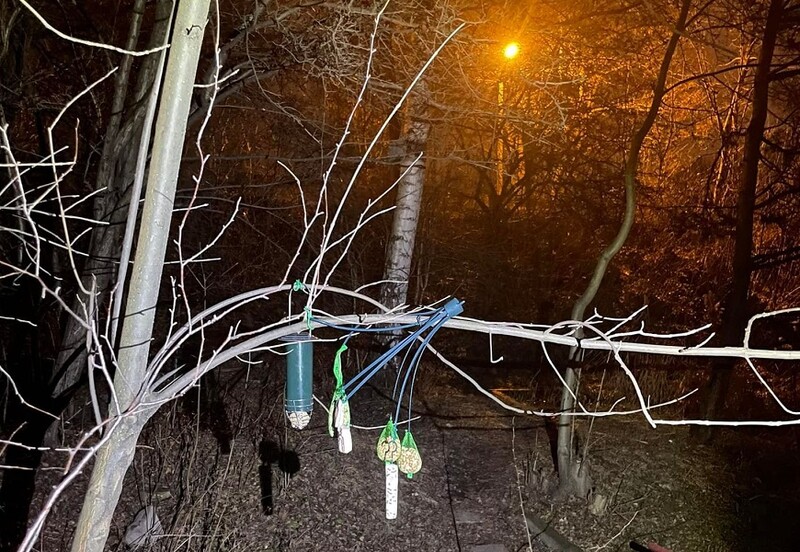 Społecznicy zamontowali karmnik przy Rybaczówce. Na drugi dzień ktoś go ukradł