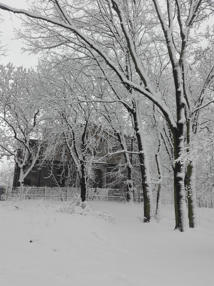 Świętochłowice w zimowej odsłonie