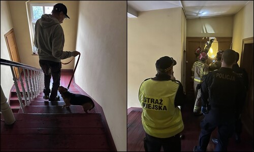 Szybka reakcja Straży Miejskiej – udzielono pomocy potrzebującej kobiecie