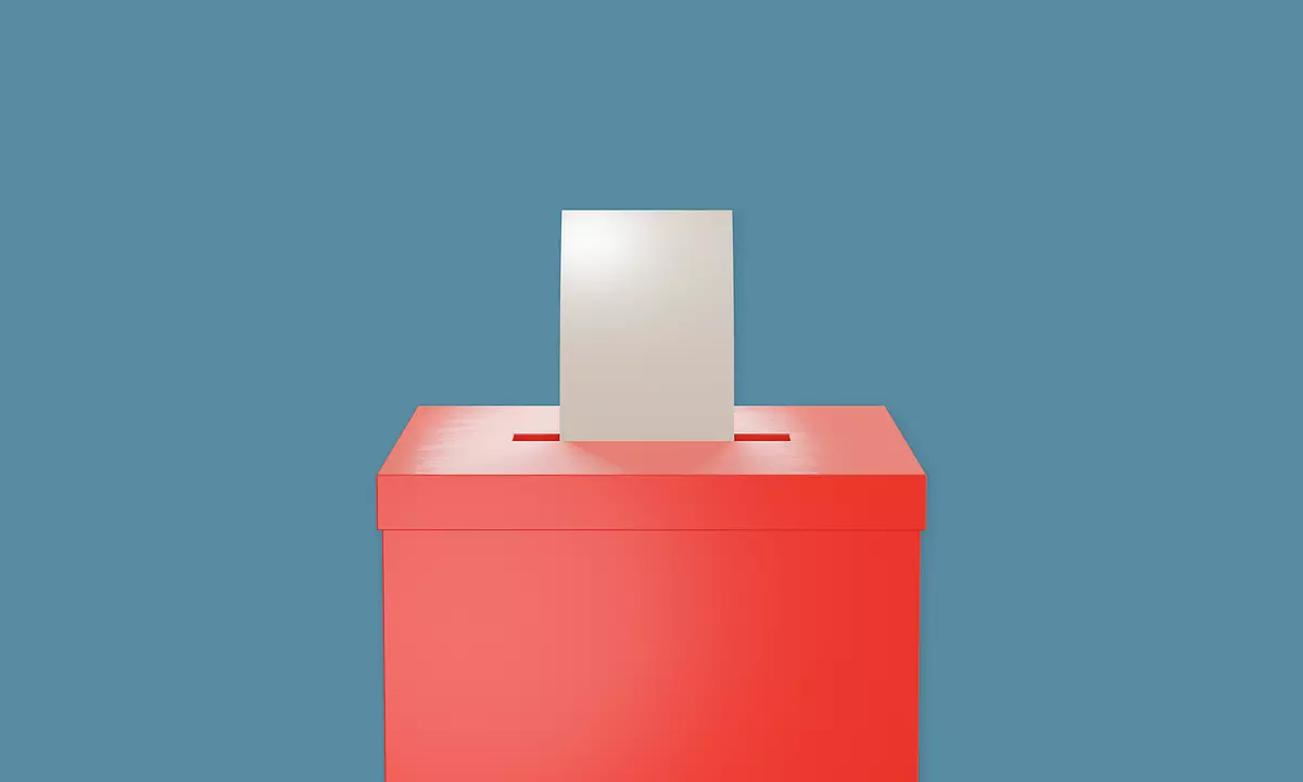 Wybory parlamentarne 2023. Sprawdź listę obwodowych komisji wyborczych w Świętochłowicach / fot. Pixabay