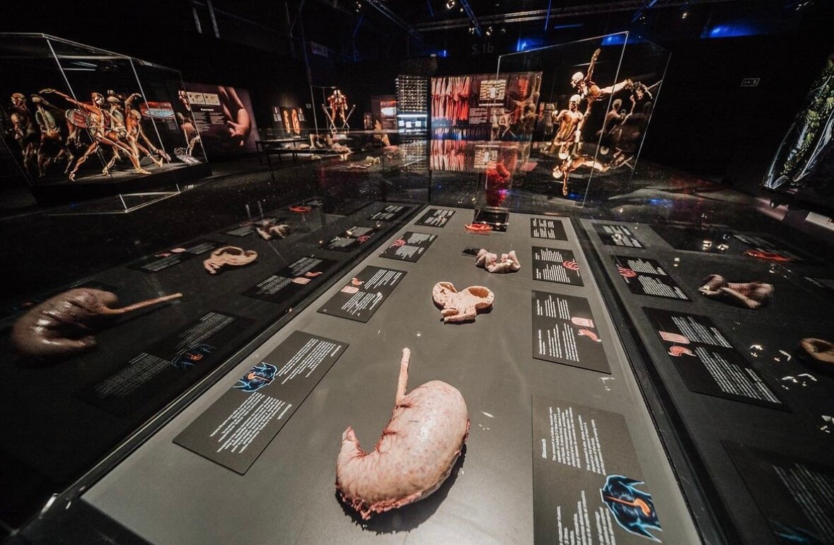 Wystawa BODY WORLDS powraca do Katowic z now&#261; ekspozycj&#261;!