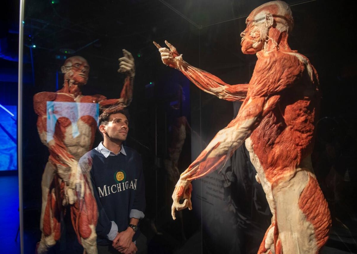 Wystawa BODY WORLDS powraca do Katowic z now&#261; ekspozycj&#261;!