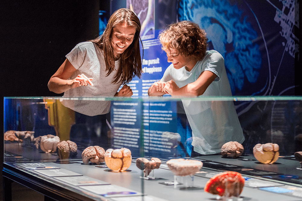 BODY WORLDS - najliczniej odwiedzana wystawa świata po 6 latach powraca do Katowic!