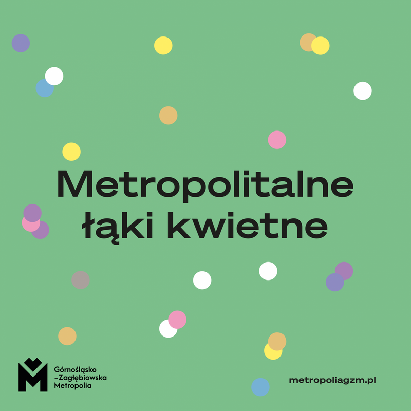 Zgłoś się do programu "Metropolitalne Łąki Kwietne"